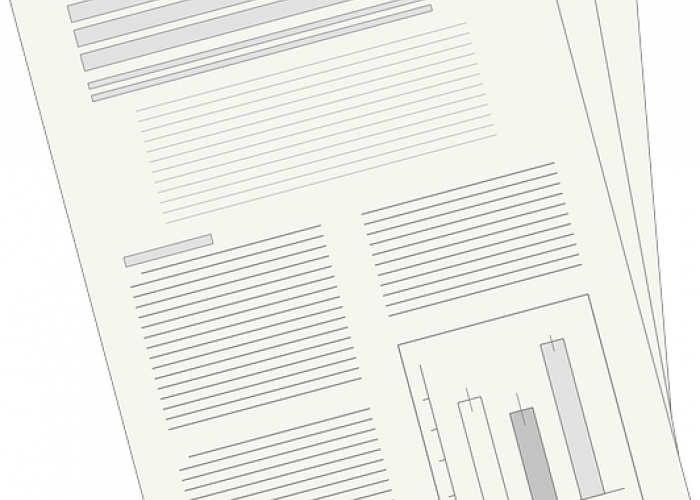 article_picture