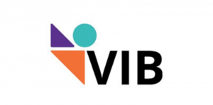 logo vib